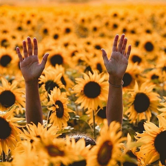 Meet your Posher, Rachel - Picture 1 of 1